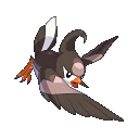 Staravia