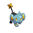 Shinx